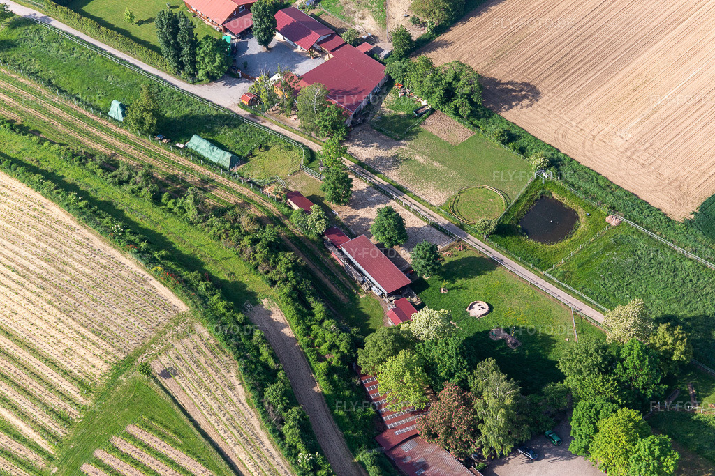 Luftbild: Ranch Herxe in Herxheim bei Landau im Bundesland Rheinland-Pfalz in Deutschland. Foto: IMG_114272.jpg vom 26.05.2019 durch Werner Riehm/FLY-FOTO.de