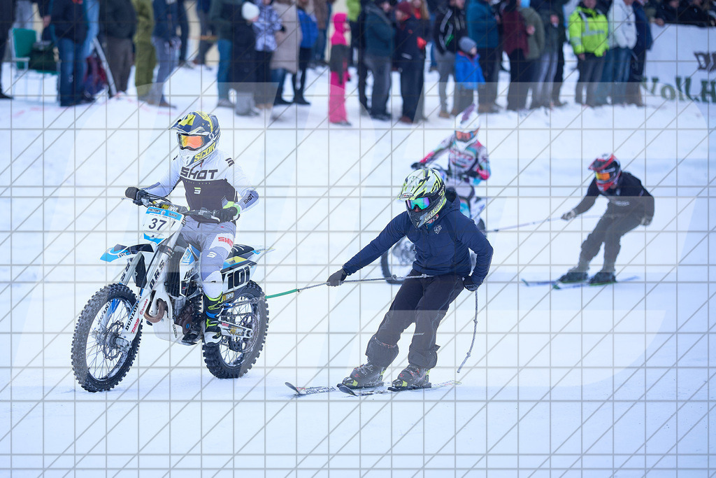 11. Holzknecht Skijöring | Skijöring am 24.01.2026: 11. Holzknecht Skijöring in Gosau am Dachstein, Oberösterreich, ÖsterreichFoto: © 2026 Martin Bihounek | mb-creative.eu