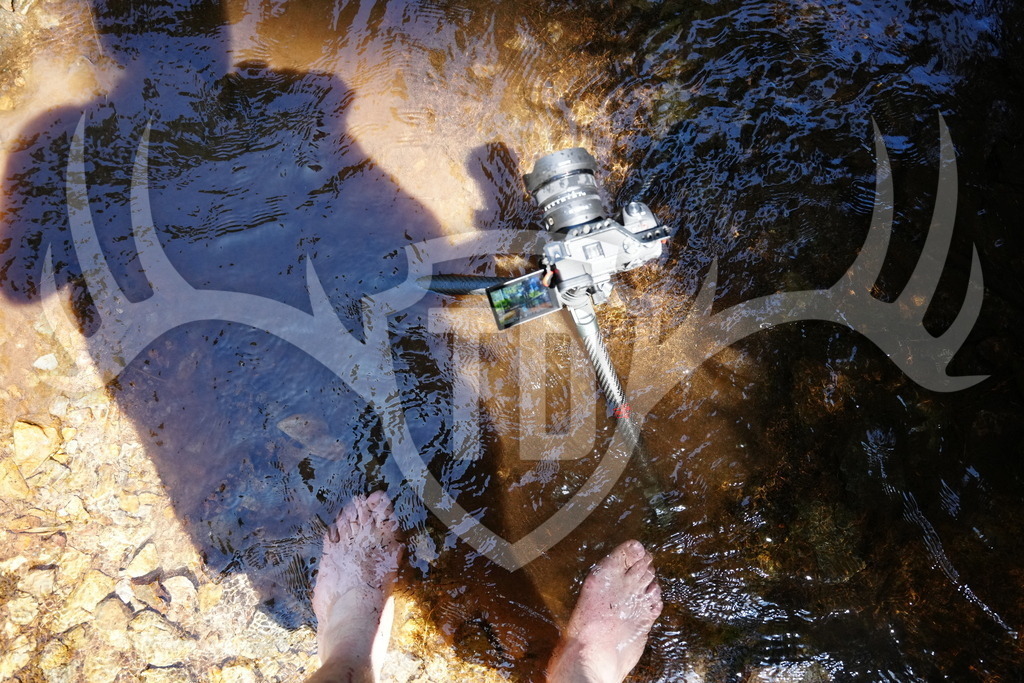 FC101564 | Fotogalerie der Treibjagd im Dunkelwald - Dein MTB Etappenrennen im Erzgebirge - Realisiert mit Pictrs.com