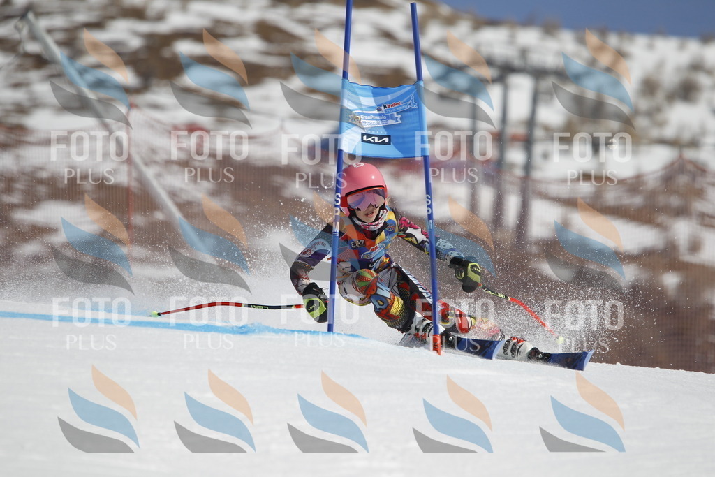 _U3G9282 | holidayphoto