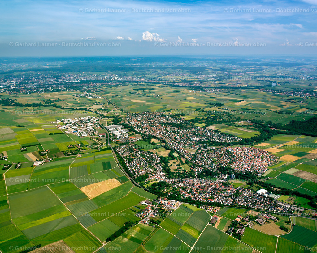 2500346 | Leingarten Gesamtaufnahme