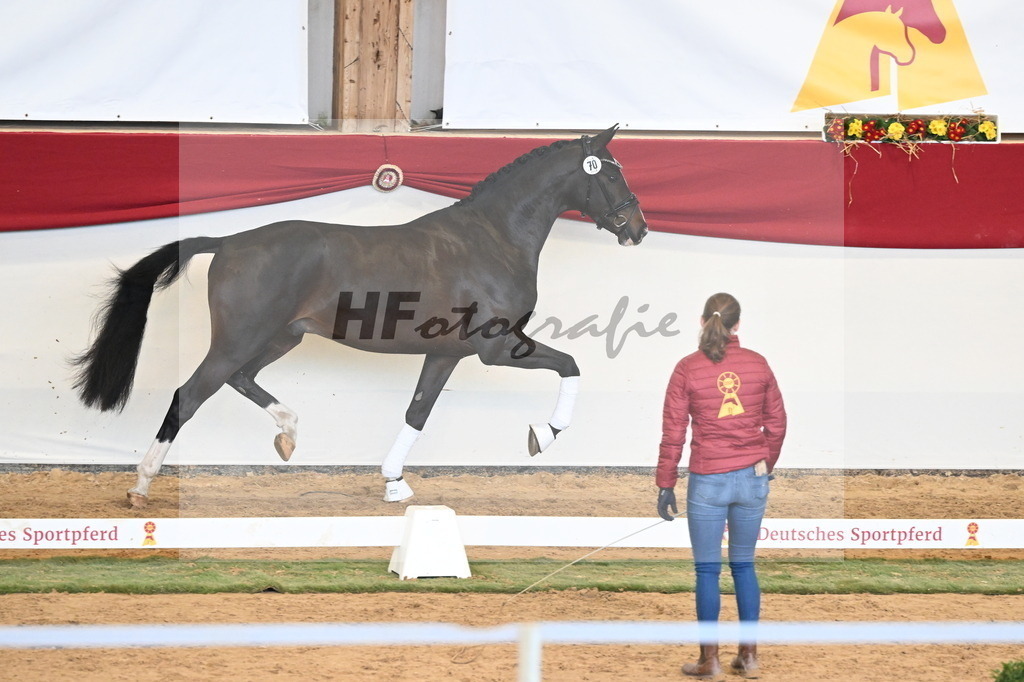 Kat.-Nr. 70 v. Negro_Holtwiesche_3260840 | hf-fotografie - Realizzato con Pictrs.com
