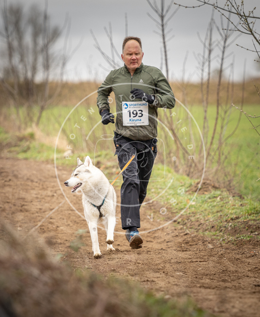 DV3A2235 | Hundefotografie, Tierfotograf, Pfotenfotografie, Fotoshooting Hund, Hunde Portrait, Hundesport, Hundeportraits, Heideshooting, Hunde, Sportfotograf, Hundefotograf, Turnierhundsport, THS,  - Realisiert mit Pictrs.com
