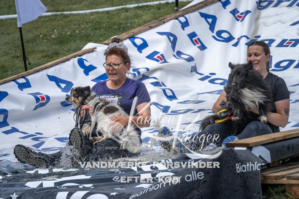 1128_ZZ92317 | kk-dogfotos