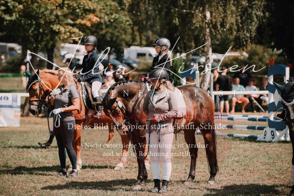 DSC_5953 | Pferde- und Turnierfotografie in Westsachsen. Pferdeportraits, Auftragszeichnungen und intuitive Kunst.