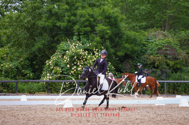 DKP46298 | Turnierfotos kaufen im Webshop von Daniel Kuhl Photography – entdecke professionelle Reitsportfotos aus Turnieren & Events. Hochwertige Turnierbilder online bestellen & sichern. Jetzt Fotos von Reitsportturnieren kaufen!
