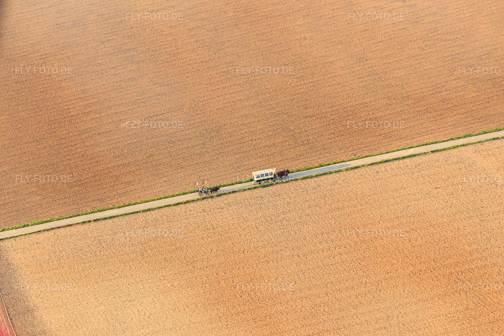 Luftbild: Planwagenausfahrt mit Pferden in Herxheim bei Landau im Bundesland Rheinland-Pfalz in Deutschland. Foto: IMG_073953.jpg vom 03.10.2014 durch Werner Riehm/FLY-FOTO.de