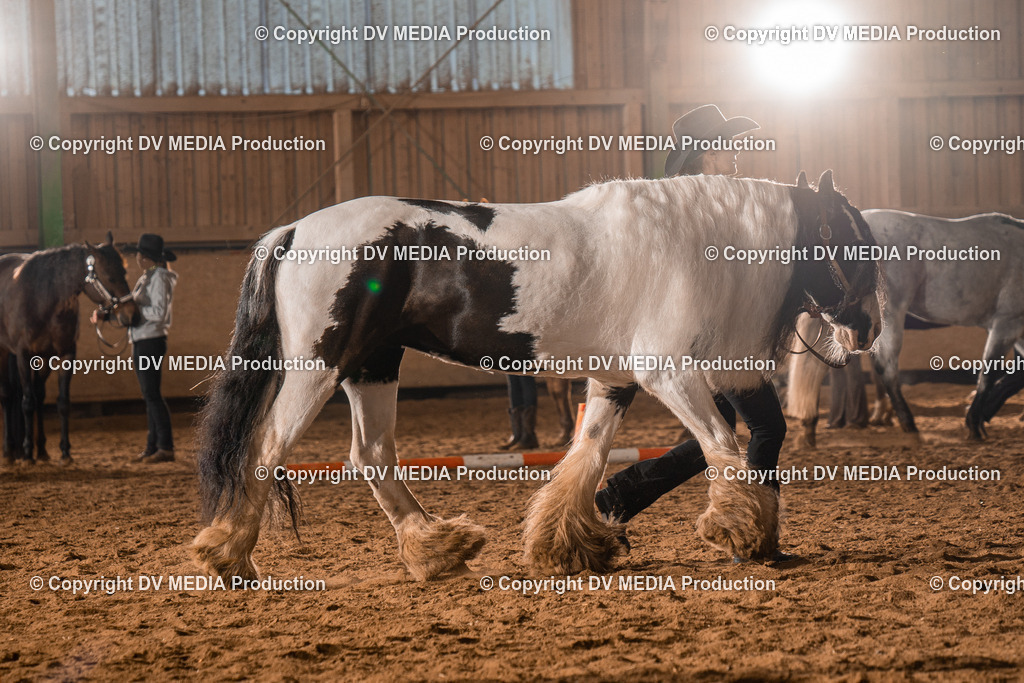 BAL01283 | dv-media-shop - Realisiert mit Pictrs.com