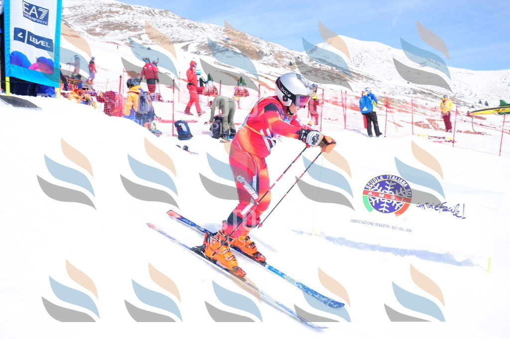 DSC_7074 | holidayphoto