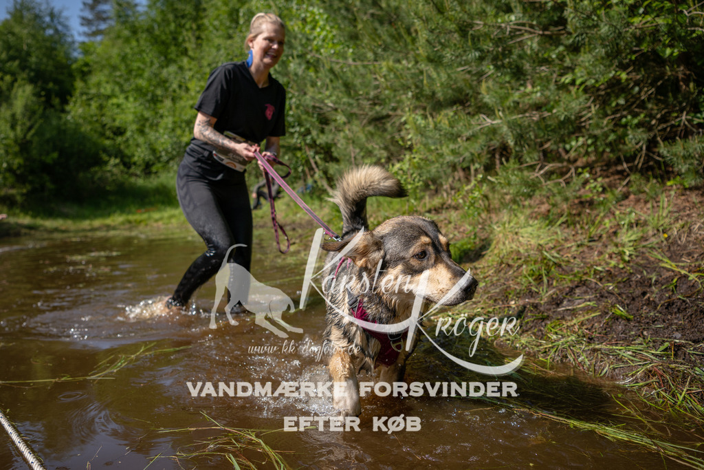 1608DKK993562 | kk-dogfotos