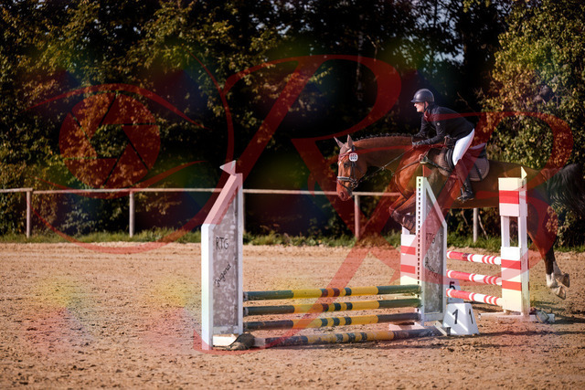 2026_10_03_Siefer-Hof_155618_Z81_75741640 | Professionelle Reitsport-, Turnier- und Eventfotografie von Robert Broda. Galerien mit ausgewählten und bearbeiteten Bildern direkt online ansehen und bestellen.