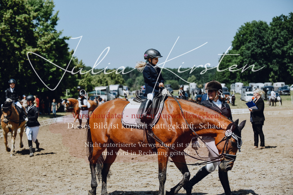 DSC_2450 | Pferde- und Turnierfotografie in Westsachsen. Pferdeportraits, Auftragszeichnungen und intuitive Kunst.