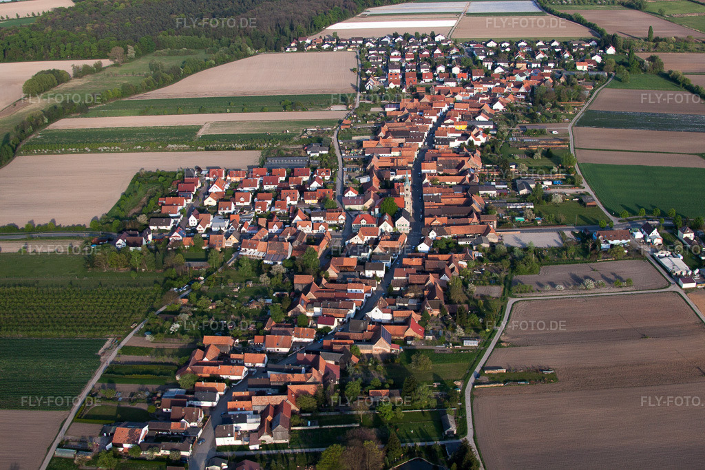 Luftbild: Ortsansicht von Westen in Erlenbach bei Kandel im Bundesland Rheinland-Pfalz in Deutschland. Foto: IMG_64290.jpg vom 11.04.2014 durch Werner Riehm/FLY-FOTO.de