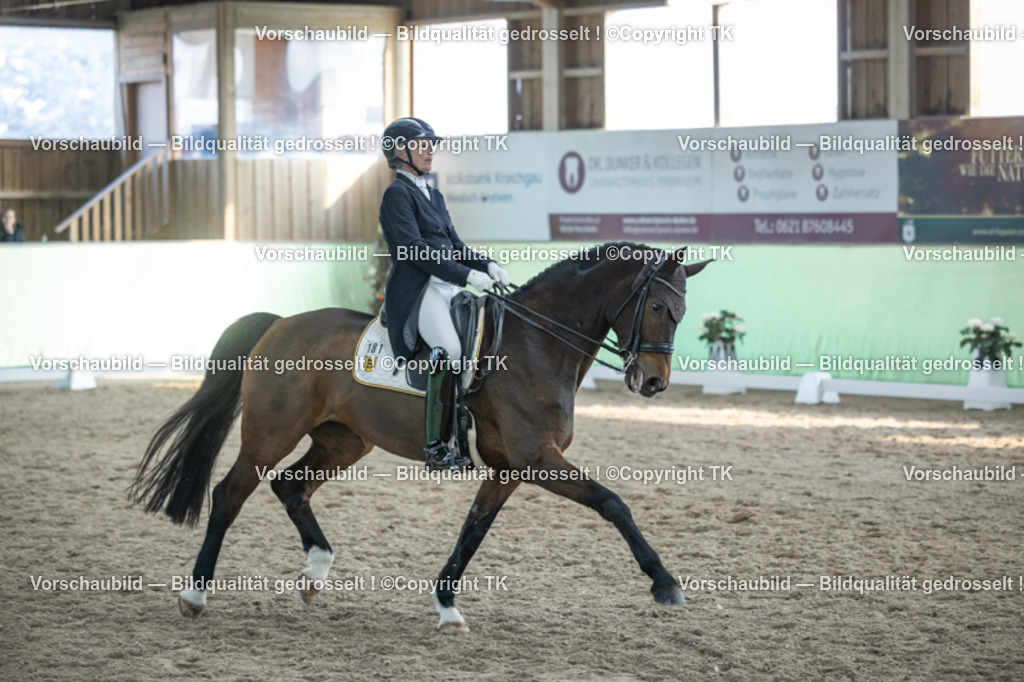 _D5A0487 | Emotionale Pferde- & People-Fotografie rund um Heidelberg, Leimen & Umgebung. Natürliche Fotos von Pferd, Mensch & Familie. Jetzt Termin sichern!