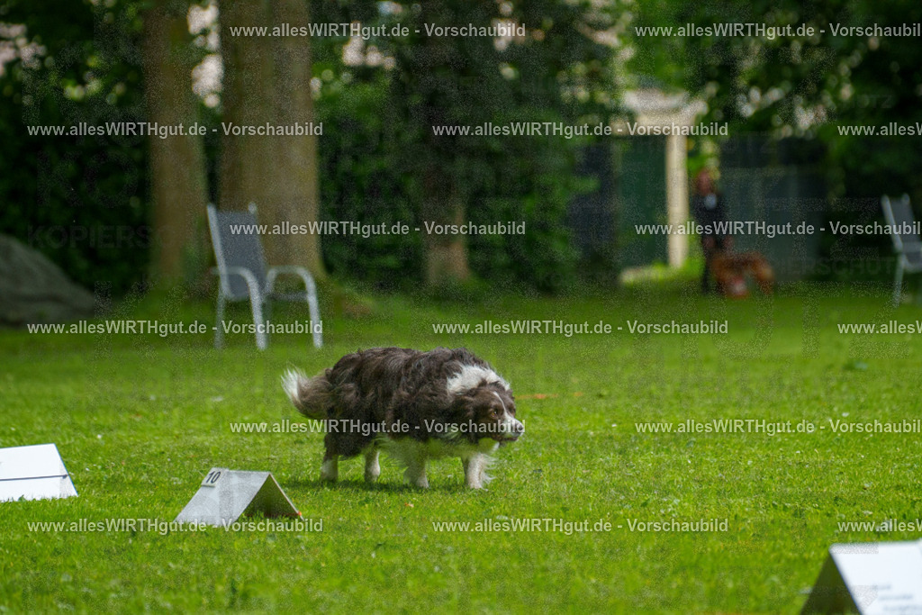 @allesWIRTHgut_Tierfotografie - www.allesWIRTHgut.de - 7R503509 | Professionelle Tierfotografie in Mönchengladbach von Daniel Wirth (allesWIRTHgut). Liebevolle & natürliche Bilder von Hunden & Katzen für unvergessliche Erinnerungen.