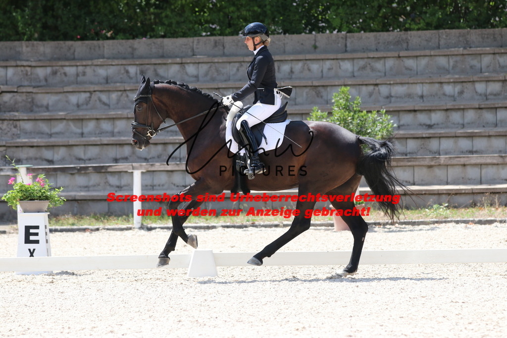 IMG_4869 | lmwpictures - Realisiert mit Pictrs.com