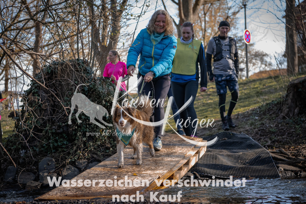 0828_ZZ91217 | kk-dogfotos