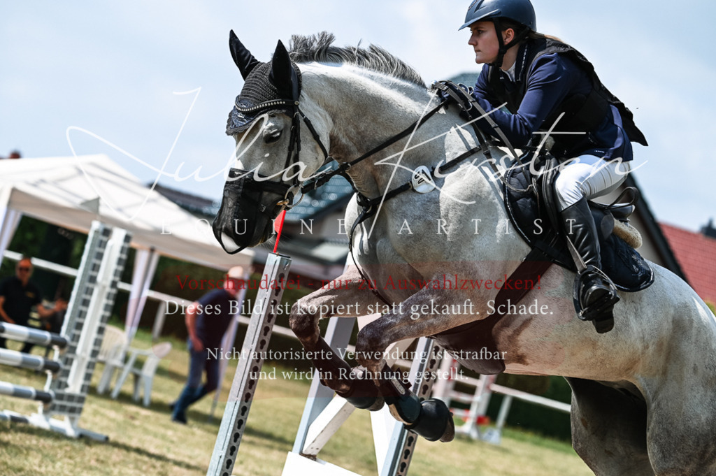 DSC_8820 | Pferde- und Turnierfotografie in Westsachsen. Pferdeportraits, Auftragszeichnungen und intuitive Kunst.