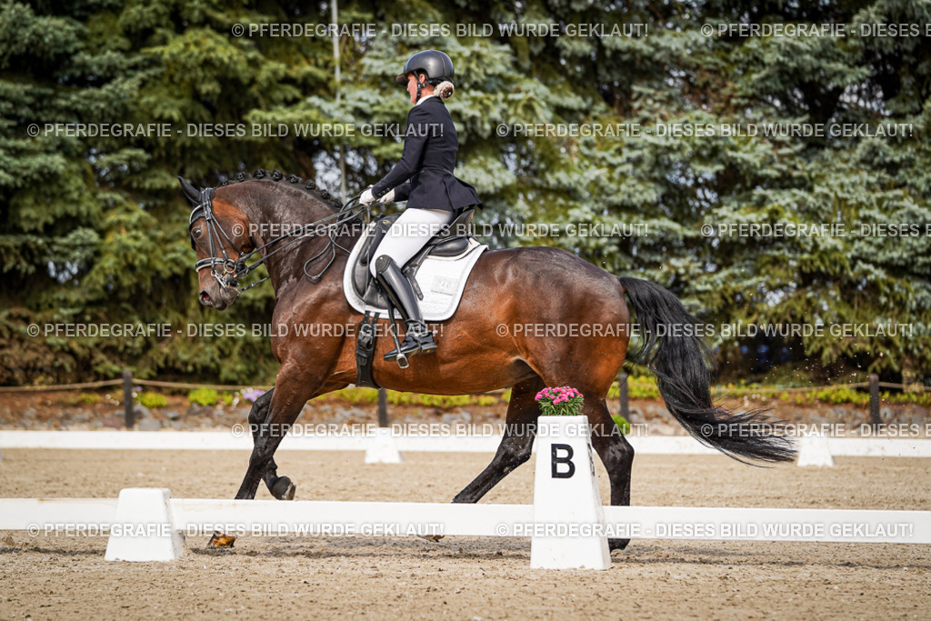 DSC06208 | Pferdegrafie