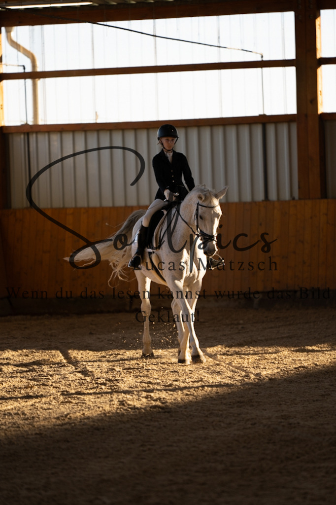 A7V01561 | Turnier/Reitfotograf