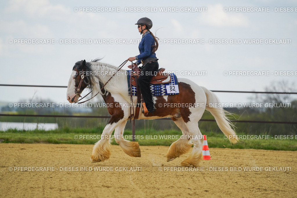 DSC06002 | Pferdegrafie