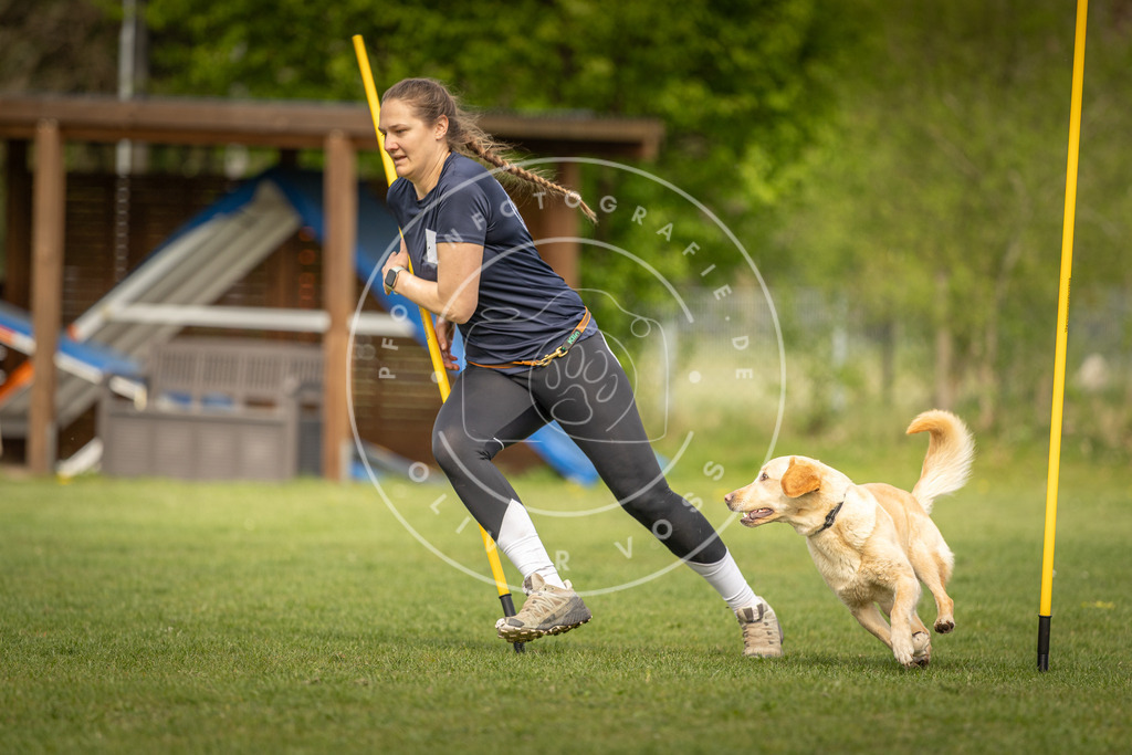 Pfotenfotografie_DV3A5104 | Hundefotografie, Tierfotograf, Pfotenfotografie, Fotoshooting Hund, Hunde Portrait, Hundesport, Hundeportraits, Heideshooting, Hunde, Sportfotograf, Hundefotograf, Turnierhundsport, THS,  - Realisiert mit Pictrs.com