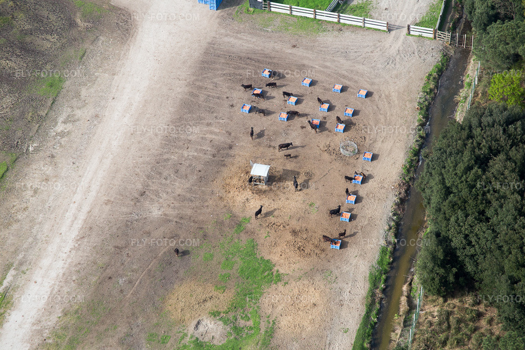 Aerial view: View of the town in Borgo Manara in the state Emilia Romagna, Italy.Photo: IMG_087247.jpg taken on 04/05/2016 by Werner Riehm/FLY-FOTO.comResolution of the original: 5472 x 3648 px