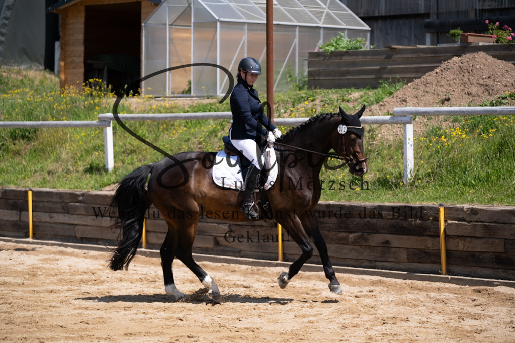 A7V08047 | Pferdefotograf