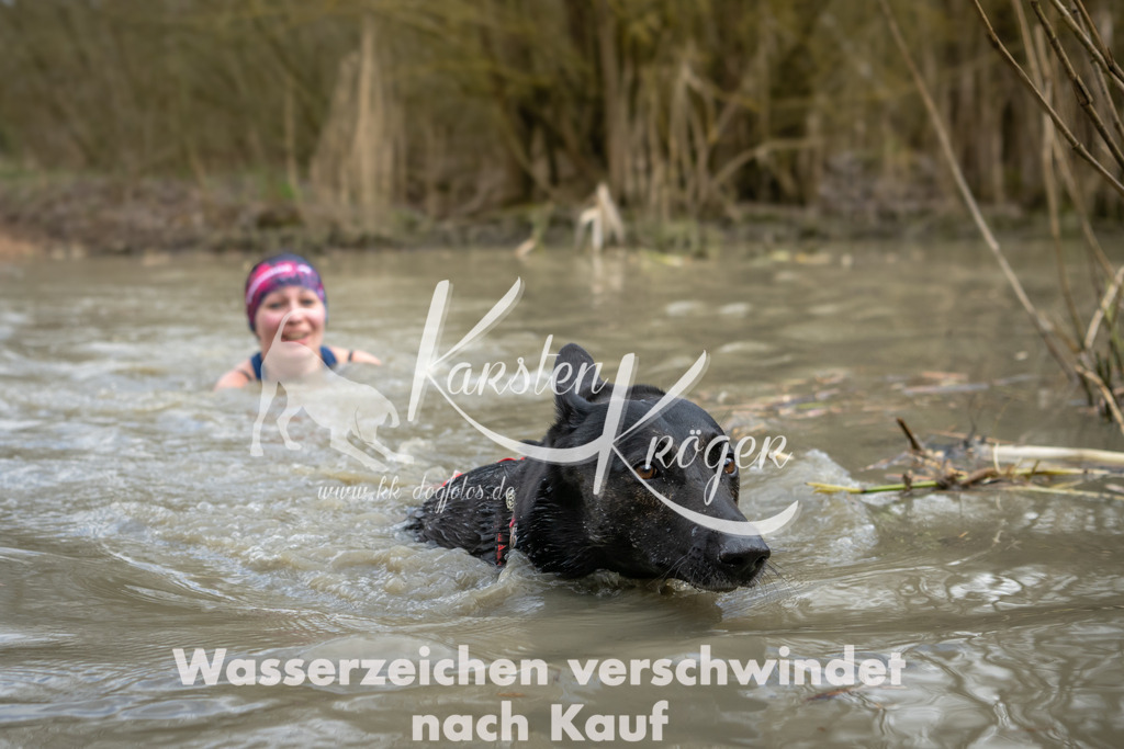 1558_ZZ95146 | kk-dogfotos