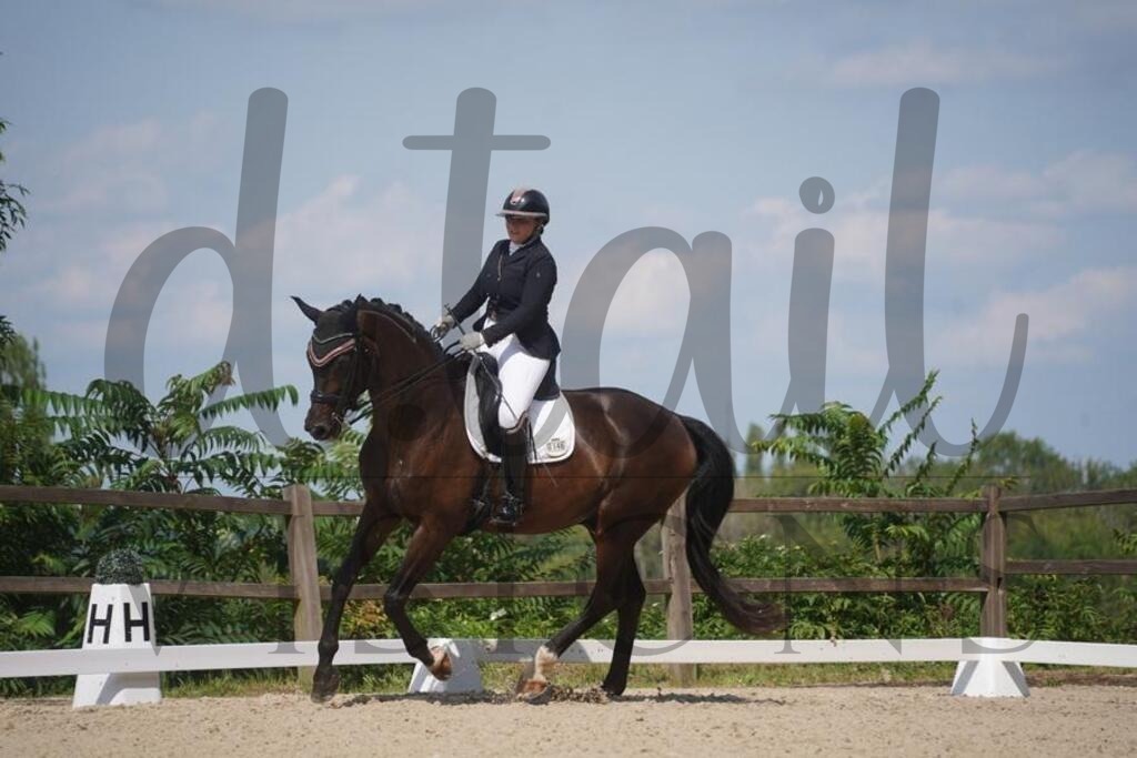 tbhsamstag (859) | d.tail Visions - Shop - Realisiert mit Pictrs.com