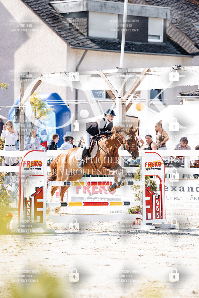 CK907910 | Turnierfotografie Pferdefotografie Trier Rheinland-Pfalz Pferdesport Reitsport Tierfotografie Sportfotografie Pferdevideo Pferdevideografie Equestrianvideography equestrianphotography  - Realisiert mit Pictrs.com