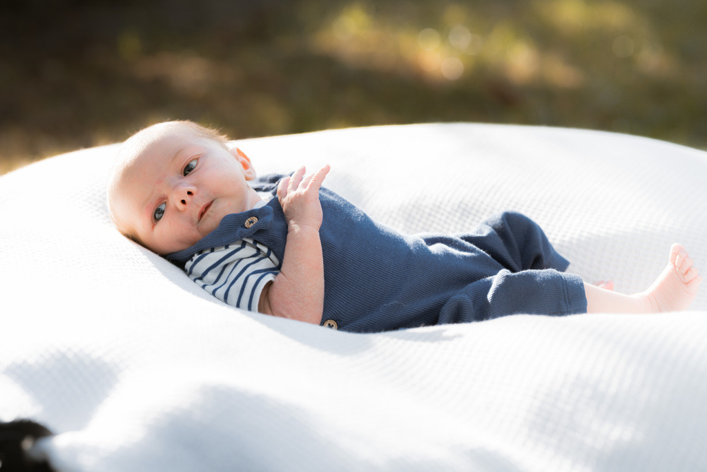 ZD260823180302 | Fotoshop von zweidimensional Fotografie. Ihr Fotograf im Aargau. Abzüge von Ihrem Fotobox Event bestellen.Abzüge von Ihrem Hochzeit bestellen.Abzüge von Ihrem Schulfotograf bestellen.