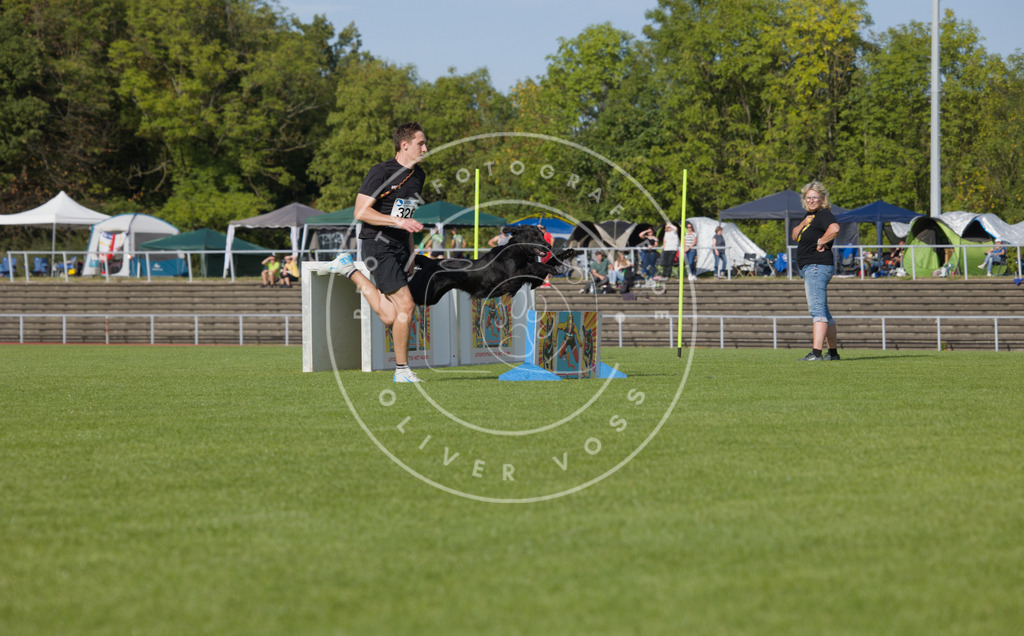0L8A3953 | Hundefotografie, Tierfotograf, Pfotenfotografie, Fotoshooting Hund, Hunde Portrait, Hundesport, Hundeportraits, Heideshooting, Hunde, Sportfotograf, Hundefotograf, Turnierhundsport, THS,  - Realisiert mit Pictrs.com