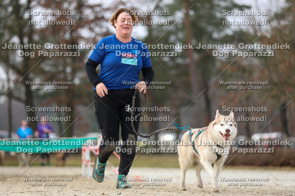 Dog Paparazzi - Strongdog North Mrz26-4398 | Dog Paparazzi Jeanette Grottendiek Fotografie & Videografie - Realisiert mit Pictrs.com