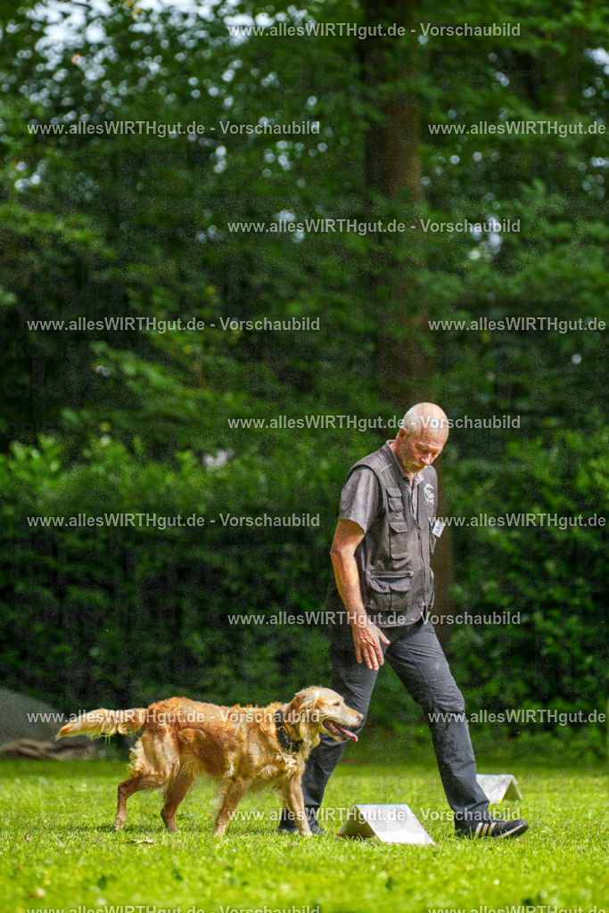 @allesWIRTHgut_Tierfotografie - www.allesWIRTHgut.de - 093121-7R507242 | Professionelle Tierfotografie in Mönchengladbach von Daniel Wirth (allesWIRTHgut). Liebevolle & natürliche Bilder von Hunden & Katzen für unvergessliche Erinnerungen.