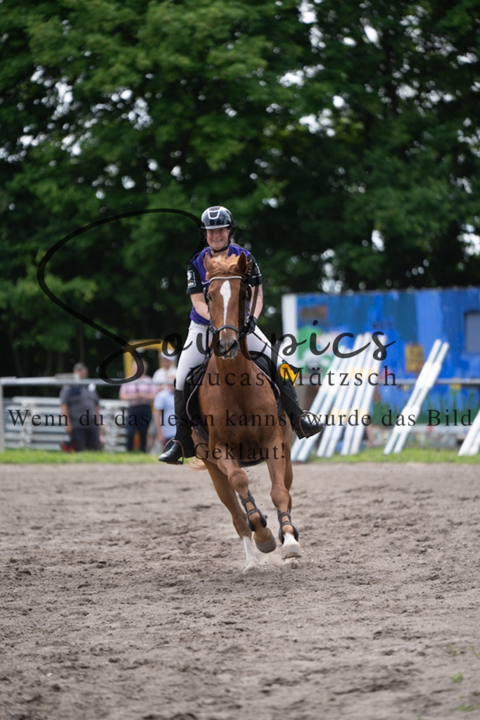 A7V04793 | Pferdefotograf