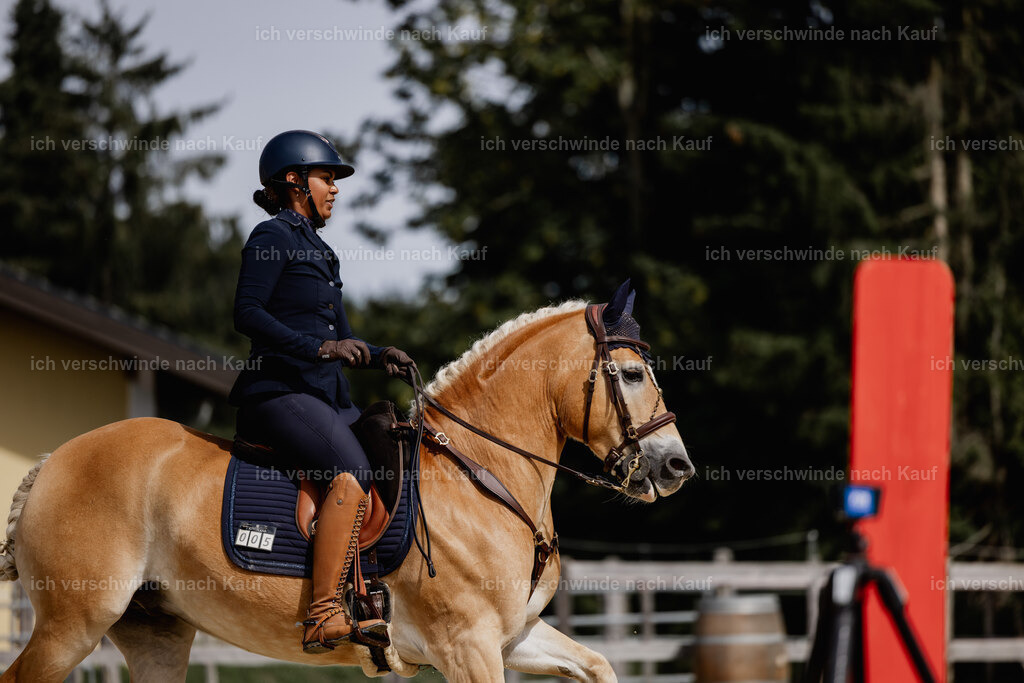 Tanesha5FHC2025-20153 | working equitationturnier fotograf videograf stoibphotography marixx film working equitation deutschland reitsport turnierfotografie eventfotografie equestrian events