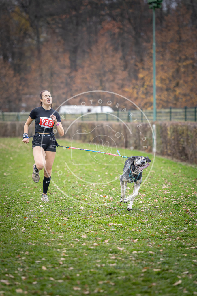 CaniXpix_DV3A7174 | Hundefotografie, Tierfotograf, Pfotenfotografie, Fotoshooting Hund, Hunde Portrait, Hundesport, Hundeportraits, Heideshooting, Hunde, Sportfotograf, Hundefotograf, Turnierhundsport, THS,  - Realisiert mit Pictrs.com