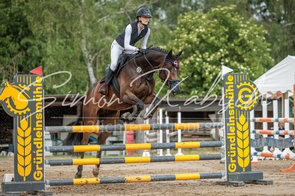 20260530-_3LI2773 | Tierfotografie Pferde, Hunde, Katzen, Haustiere.
Turnierfotografie Reitturniere, Reiten, Springreiten, Dressur in Hanau, dem Main-Kinzig-Kreis und dem Rhein-Main- Gebiet um Frankfurt