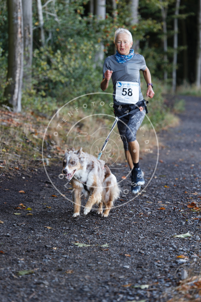0L8A1840 | Hundefotografie, Tierfotograf, Pfotenfotografie, Fotoshooting Hund, Hunde Portrait, Hundesport, Hundeportraits, Heideshooting, Hunde, Sportfotograf, Hundefotograf, Turnierhundsport, THS,  - Realisiert mit Pictrs.com