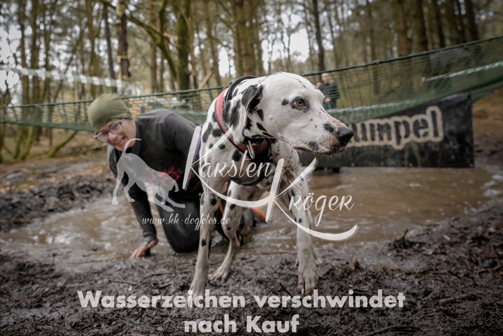 1019_ZZ90505 | kk-dogfotos