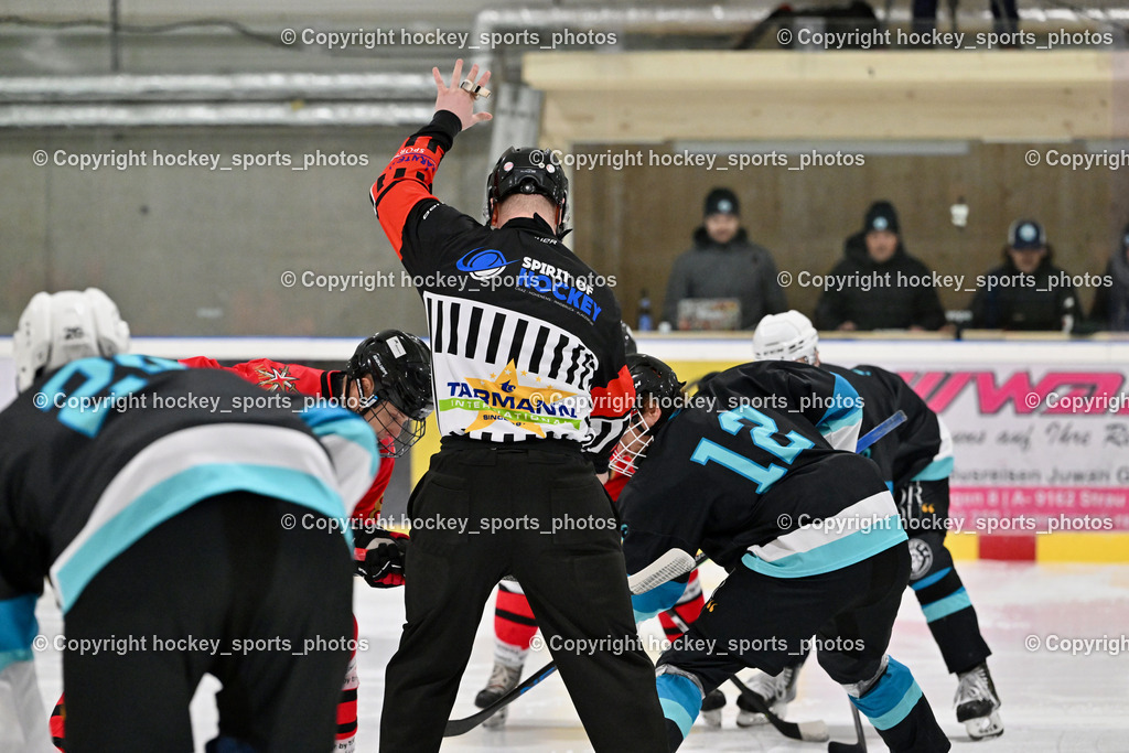 Lendhafen Seelöwen vs. Spartans Althofen | Wucherer Gerald Referee, #12 Cijan Alexander Lendhafen Seelöwen, Lendhafen Seelöwen vs. Spartans Althofen, Lendhafen Seelöwen vs. Spartans Althofen am 14.02.2025 in Ferlach (HTC Eishalle Ferlach), Austria, (Photo by Bernd Stefan)