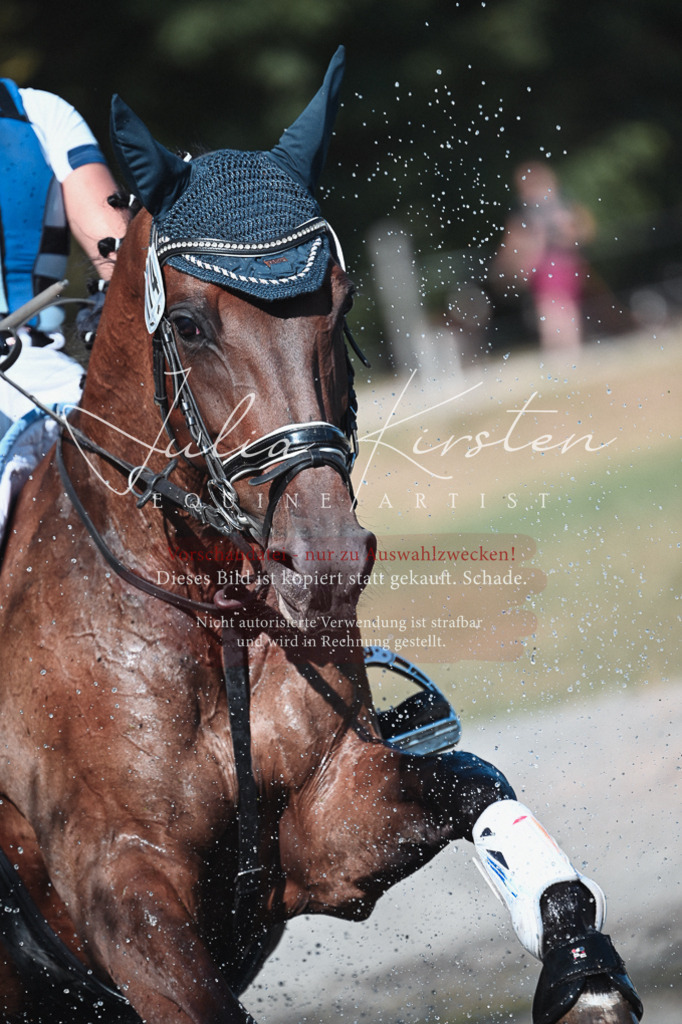 DSC_8707 | Pferde- und Turnierfotografie in Westsachsen. Pferdeportraits, Auftragszeichnungen und intuitive Kunst.