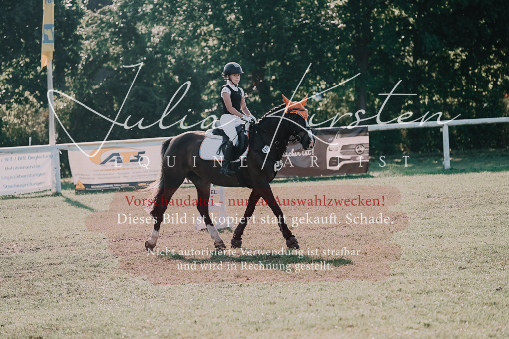 DSC_4456 | Pferde- und Turnierfotografie in Westsachsen. Pferdeportraits, Auftragszeichnungen und intuitive Kunst.