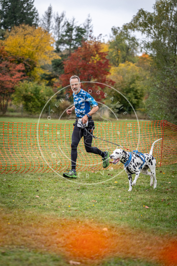 Pfotenfotografie_DV3A1897 | Hundefotografie, Tierfotograf, Pfotenfotografie, Fotoshooting Hund, Hunde Portrait, Hundesport, Hundeportraits, Heideshooting, Hunde, Sportfotograf, Hundefotograf, Turnierhundsport, THS,  - Realisiert mit Pictrs.com