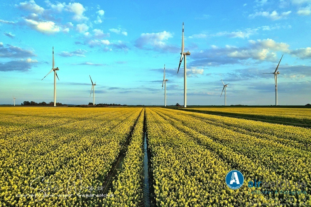 DJI_0292 | default
