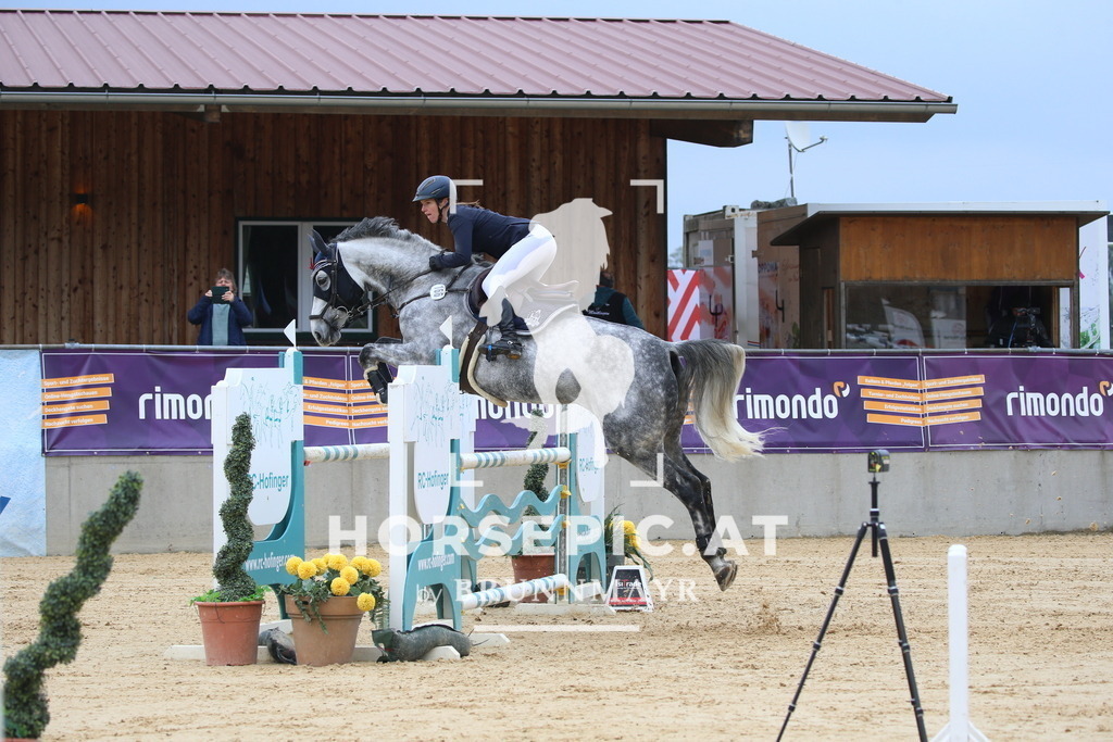 DL2Q2278 | Willkommen bei Brunnmayr - Design & Fotografie – Ihrem Spezialisten für Reitturniere und Pferdeveranstaltungen in Oberösterreich, Salzburg und Bayern! Seit über 17 Jahren sind wir leidenschaftlich dabei.