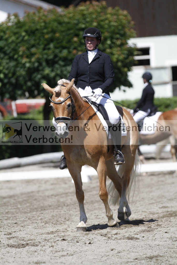 _MG_4038 | equestrian-live-com