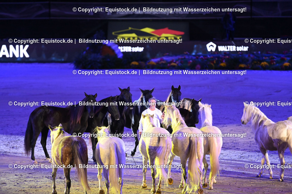 20231115_Show-Jean-Francois-Pignon_0137_TOMsPiC | Foto: Thomas Hartig