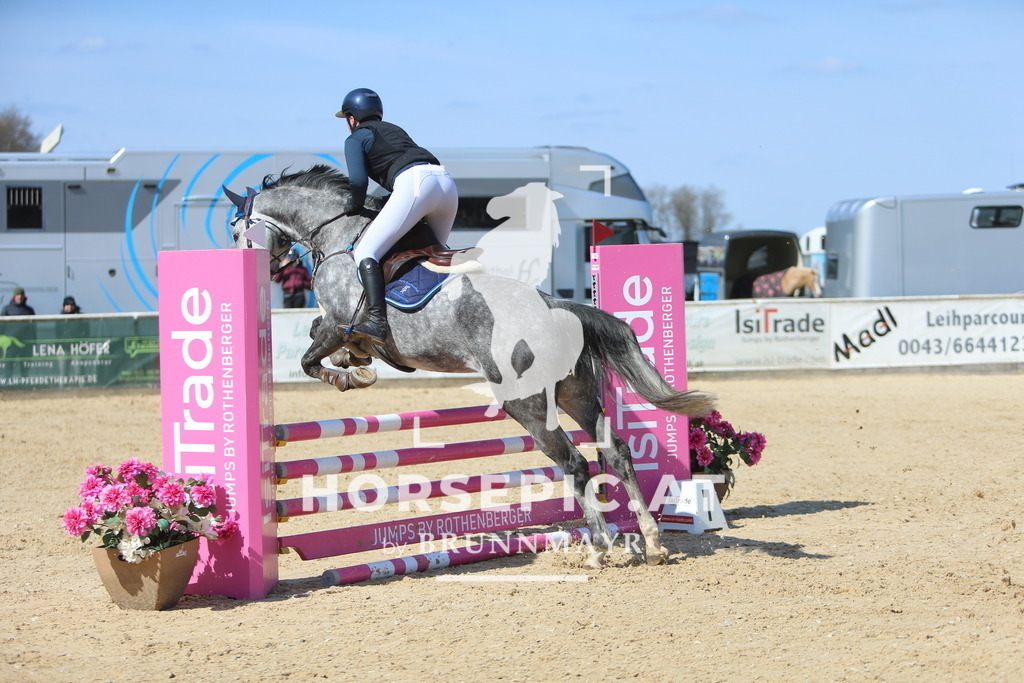 DL2Q2868 | Willkommen bei Brunnmayr - Design & Fotografie – Ihrem Spezialisten für Reitturniere und Pferdeveranstaltungen in Oberösterreich, Salzburg und Bayern! Seit über 17 Jahren sind wir leidenschaftlich dabei.